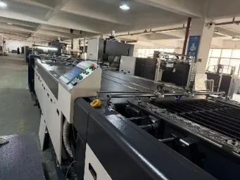 DMG-Z1100 Automatic Inkjet Coding Machine 